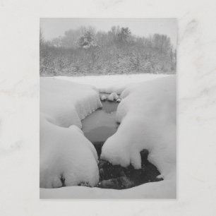 Cartão Postal Winter Pond