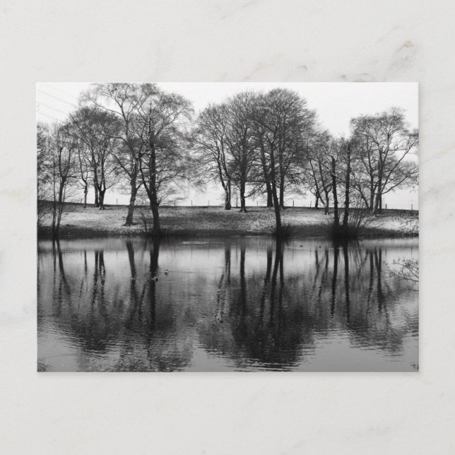 Cartão Postal Winter Reflections: Cheshire, Inglaterra (Frente)