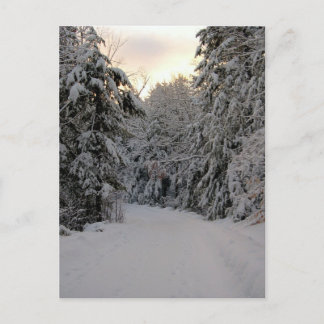Cartão Postal Winter Road