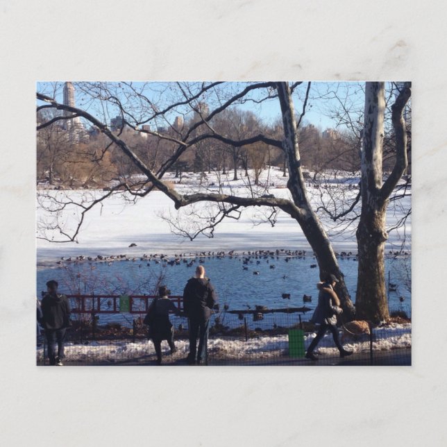 Cartão Postal Winter Snow Central Park Lake Nova Iorque NYC (Frente)