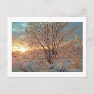 Cartão Postal Winter Sunrise