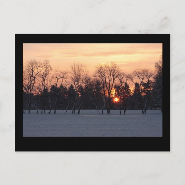Cartão Postal Winter Sunrise (Frente)