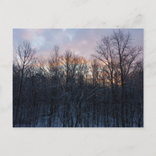 Cartão Postal Winter Sunrise I Pastel Nature Landscape