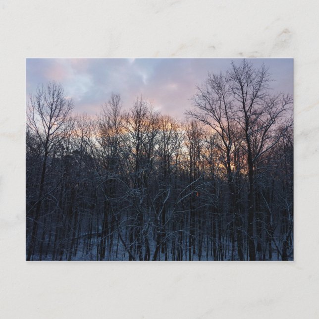 Cartão Postal Winter Sunrise I Pastel Nature Landscape (Frente)