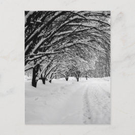 CARTÃO POSTAL WINTER WONDER
