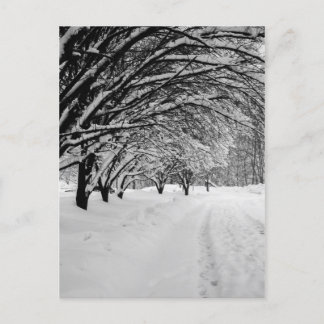 CARTÃO POSTAL WINTER WONDER