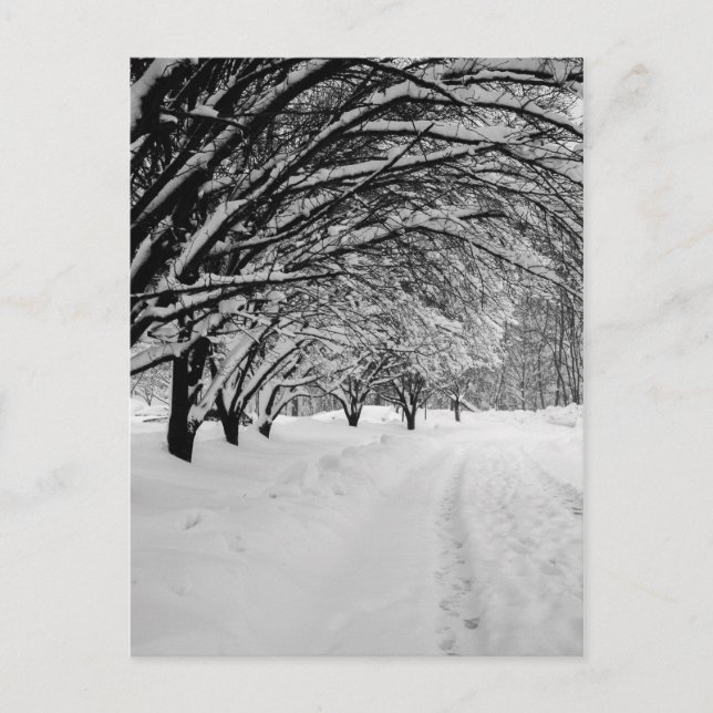 CARTÃO POSTAL WINTER WONDER (Frente)