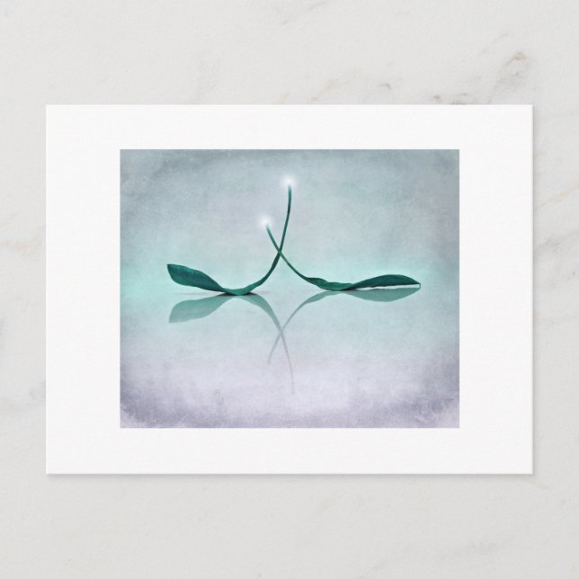 Cartão Postal Winterlicht (Frente)