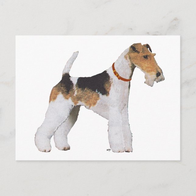 Cartão Postal Wire Fox Terrier (Frente)