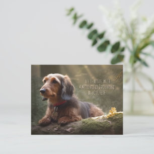 Cartão Postal Wirehaired Dachshund em Floresta
