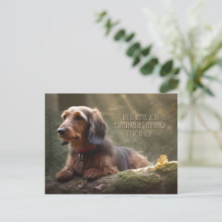 Cartão Postal Wirehaired Dachshund em Floresta