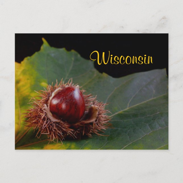 Cartão Postal Wisconsin, Autumn Leaf com Nut Postcard (Frente)