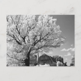 Cartão Postal Wisconsin Farm Postcard