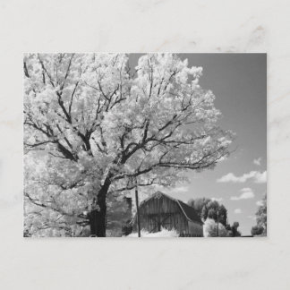 Cartão Postal Wisconsin Farm Postcard