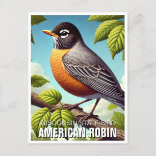 Cartão Postal Wisconsin State Bird American Robin