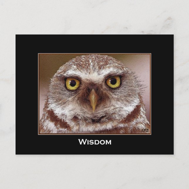 CARTÃO POSTAL WISDOM OWL (Frente)