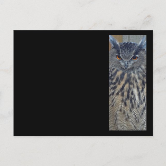 Cartão Postal Wise One (Frente)