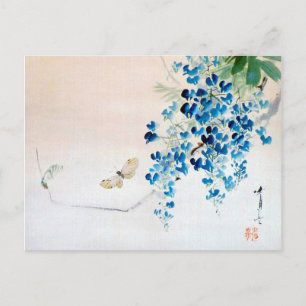 Cartão Postal Wisteria e uma Borboleta, Watanabe Seitei