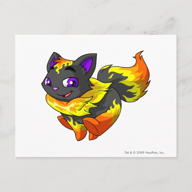 Cartão Postal Wocky Fire (Frente)