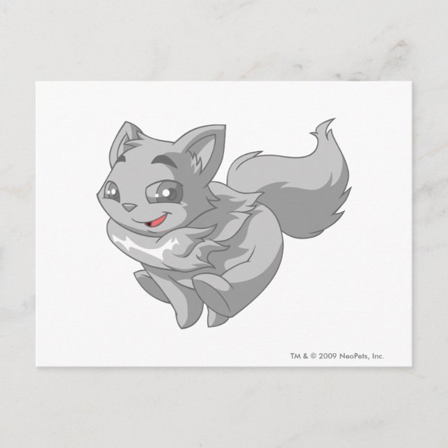 Cartão Postal Wocky Silver (Frente)