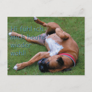 Cartão Postal Wohlfühlboxer