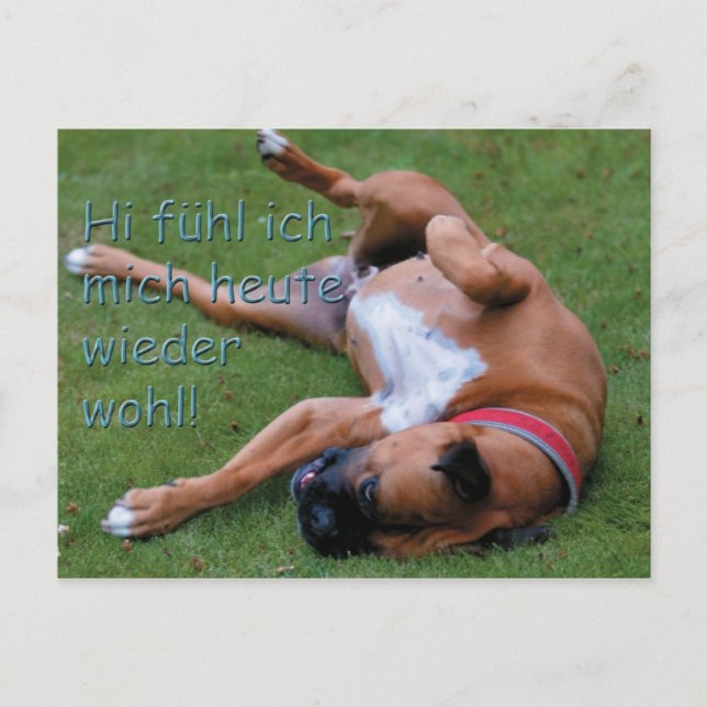 Cartão Postal Wohlfühlboxer (Frente)