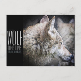 Cartão Postal Wolf [Cartão postal]