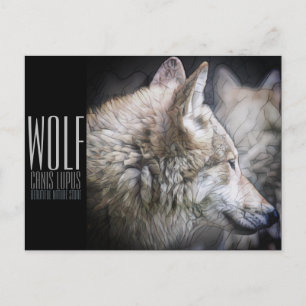 Cartão Postal Wolf [Cartão postal]