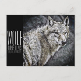Cartão Postal Wolf [Cartão postal]