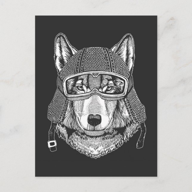 Cartão Postal Wolf Dog Motorcycle Rider (Frente)