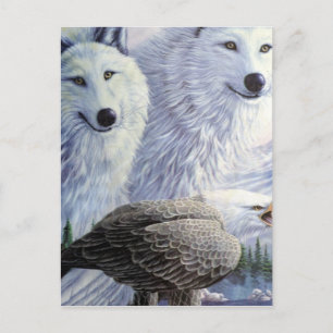 Cartão Postal Wolf Eagle Animal Nature Park Arte Comercial