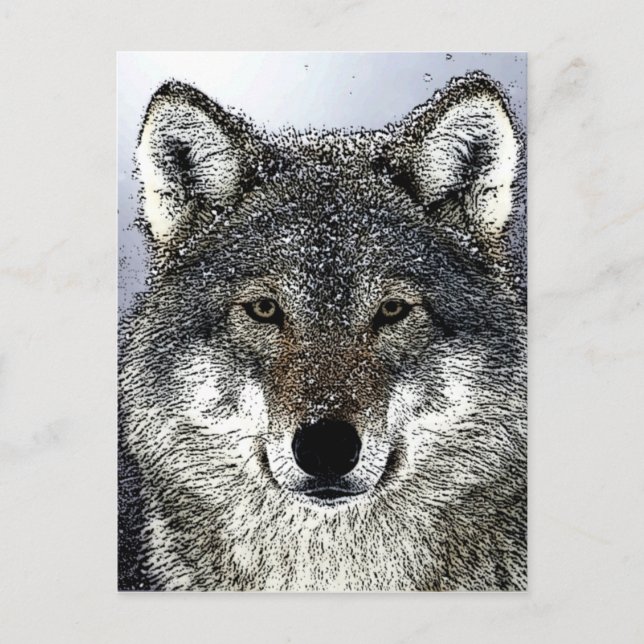 Cartão Postal Wolf Eyes (Frente)