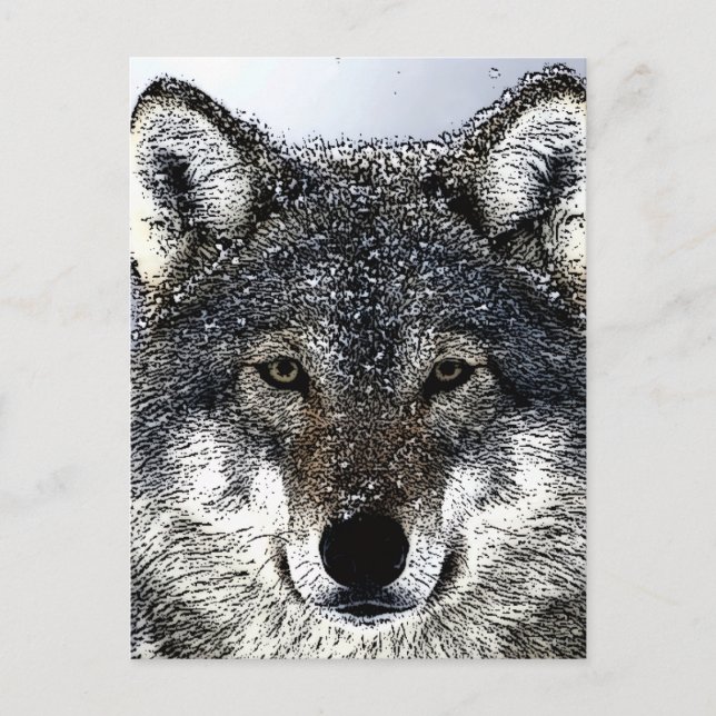 Cartão Postal Wolf Eyes (Frente)
