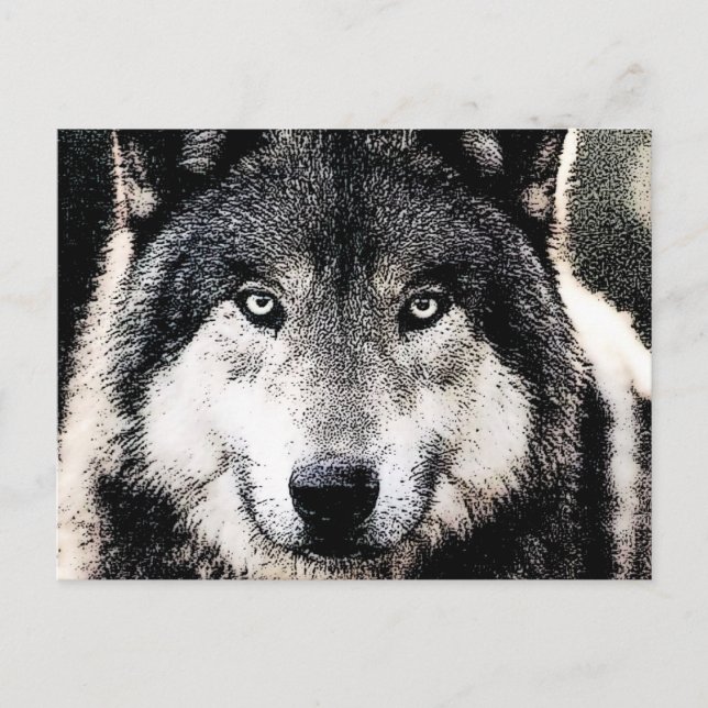 Cartão Postal Wolf Eyes (Frente)