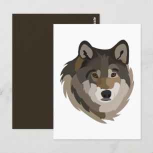 Cartão Postal Wolf Head Animal Cinza Selvagem Wolf