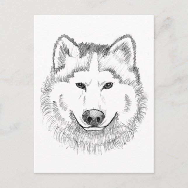 Cartão Postal Wolf Head Sketch (Frente)