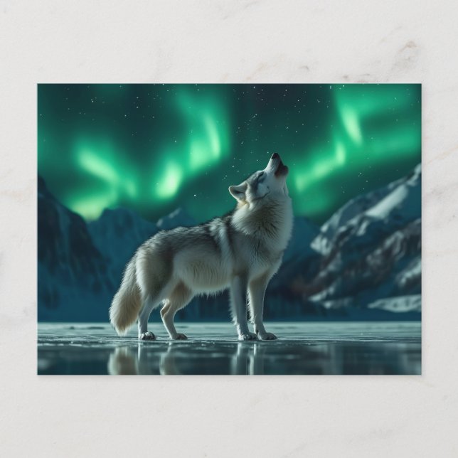 Cartão Postal Wolf Howling debaixo das luzes do Norte (Frente)