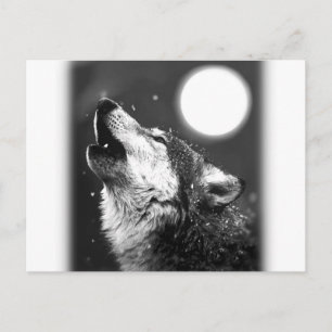 Cartão Postal Wolf Howling na Lua