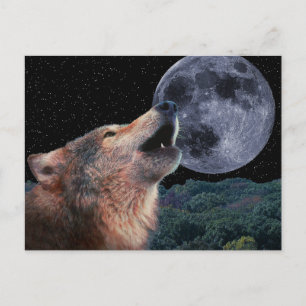 Cartão Postal Wolf Howling na lua cheia - Produtos múltiplos-02