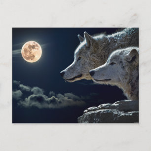 Cartão Postal Wolf Pair Moon Night Gothasy