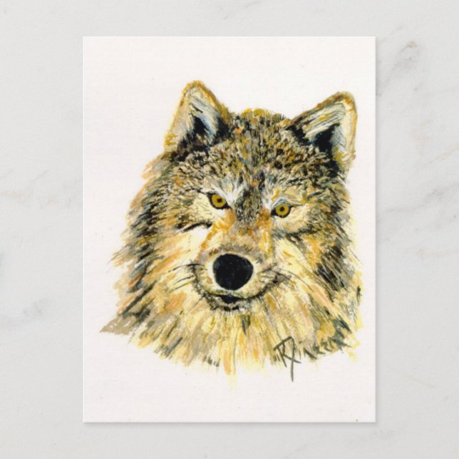Cartão Postal Wolf Postcard (Frente)