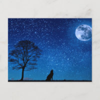 Wolf Silhouette Howling Na Lua
