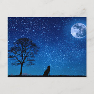 Cartão Postal Wolf Silhouette Howling Na Lua