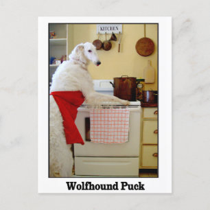 Cartão Postal Wolfhound Puck