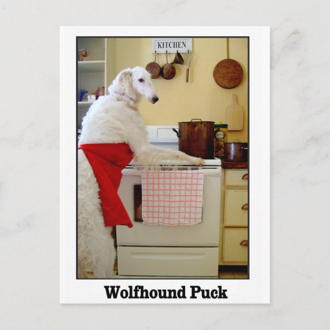 Cartão Postal Wolfhound Puck (Frente)