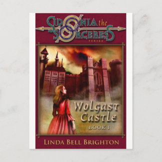 Cartão Postal Wolgast Castle