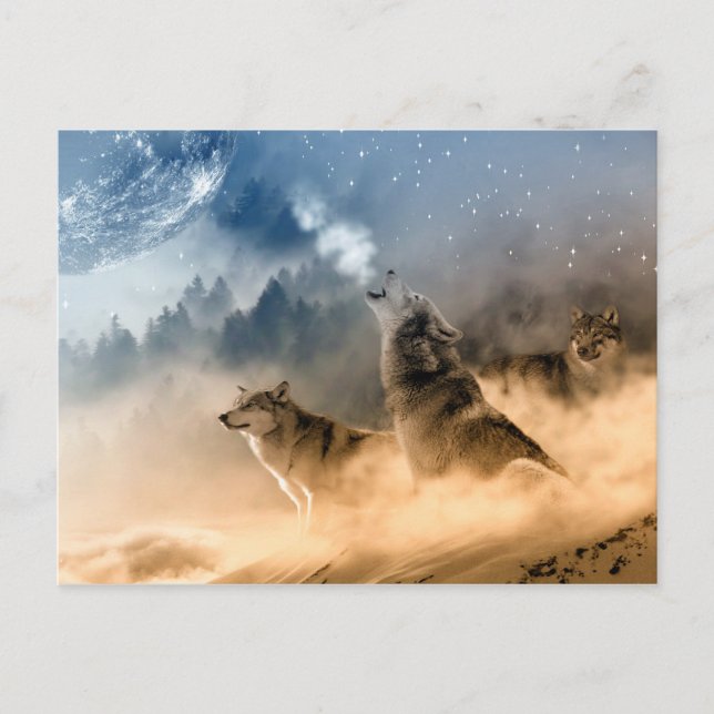 Cartão Postal Wolves Moon Fog Nature Scenery (Frente)