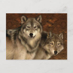 Cartão Postal Wolves Postcard