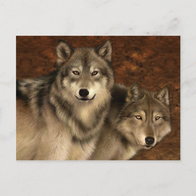 Cartão Postal Wolves Postcard (Frente)