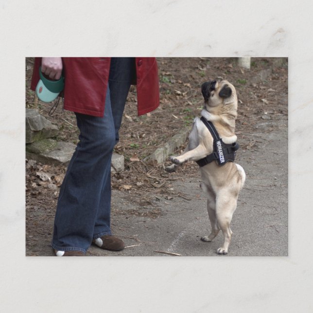 Cartão Postal Womanizer (Frente)